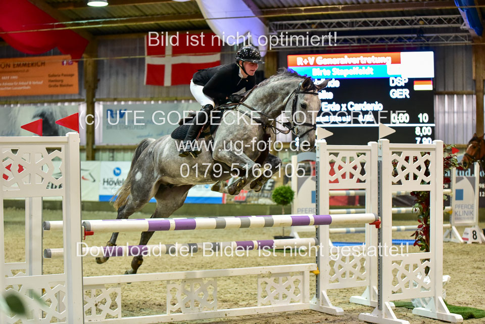 17112020-Springpferde-L-11.jpg