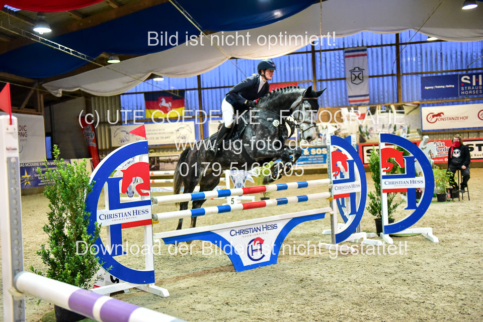 17112020-Springpferde-L-110.jpg