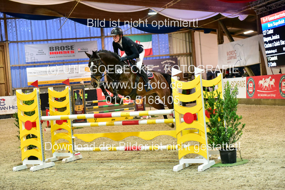 17112020-Springpferde-L-112.jpg
