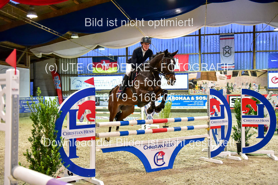 17112020-Springpferde-L-113.jpg