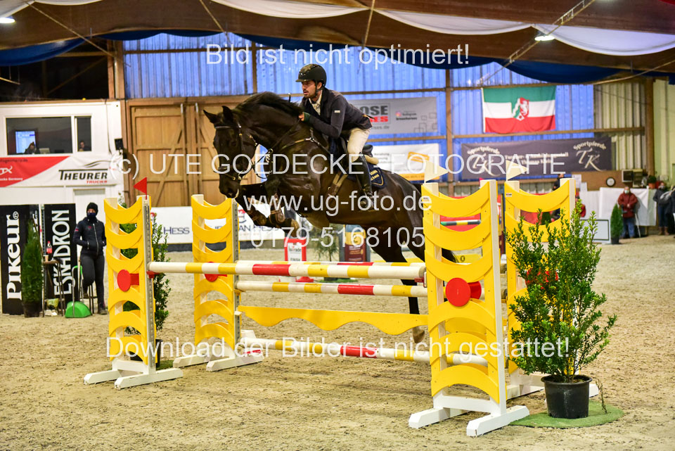 17112020-Springpferde-L-115.jpg
