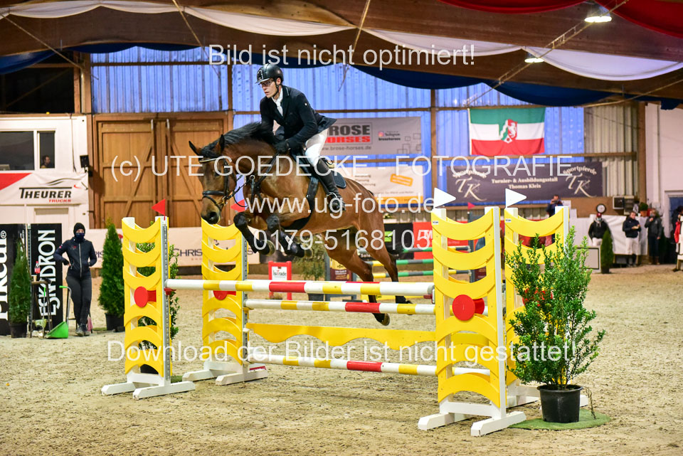 17112020-Springpferde-L-119.jpg