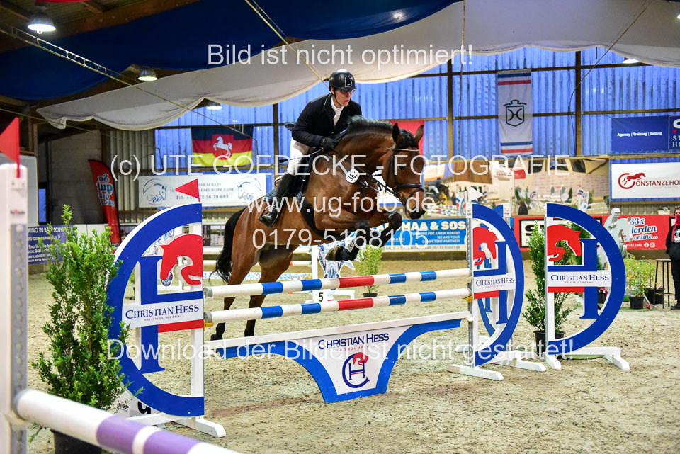 17112020-Springpferde-L-120.jpg