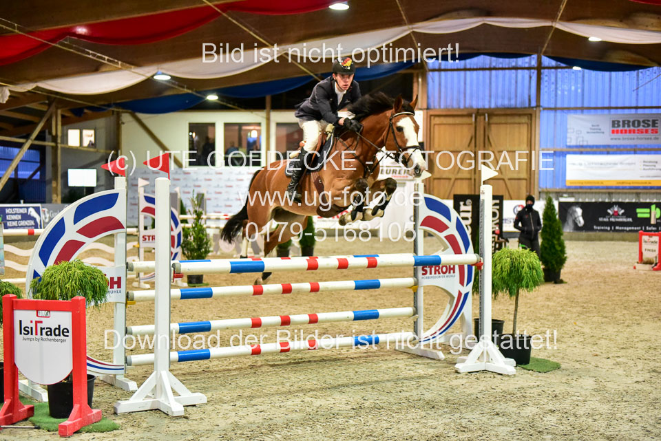 17112020-Springpferde-L-121.jpg