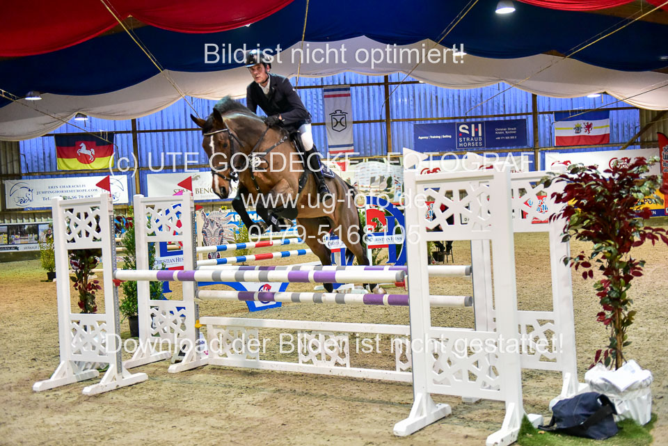 17112020-Springpferde-L-123.jpg