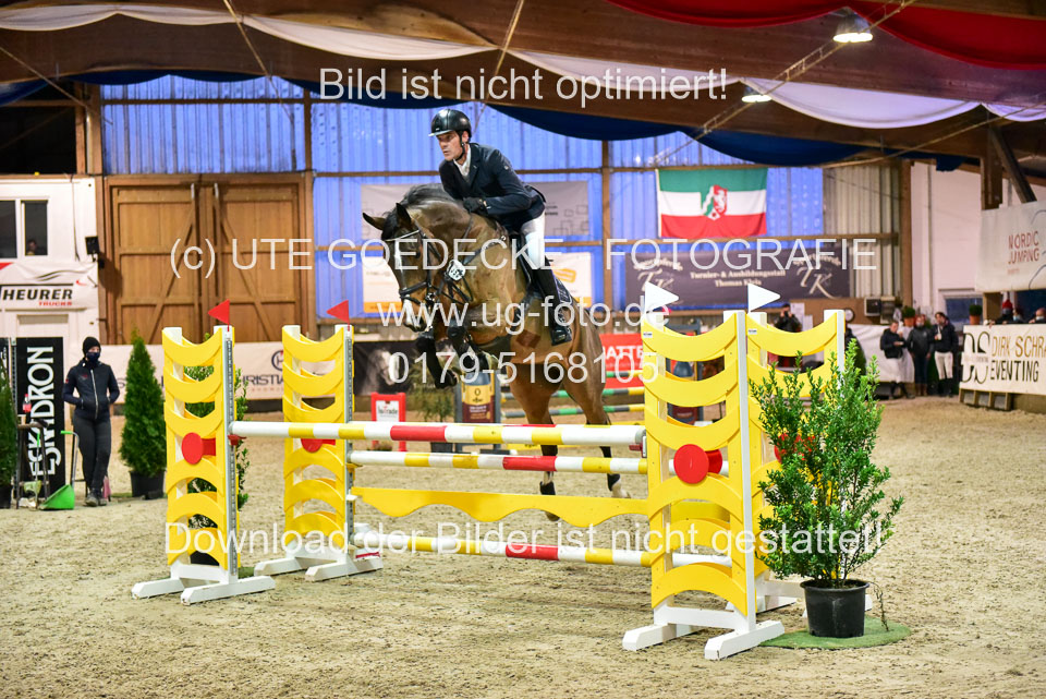 17112020-Springpferde-L-125.jpg