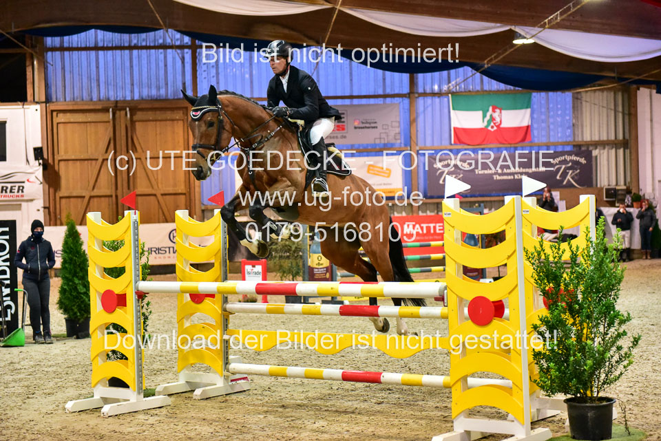 17112020-Springpferde-L-128.jpg