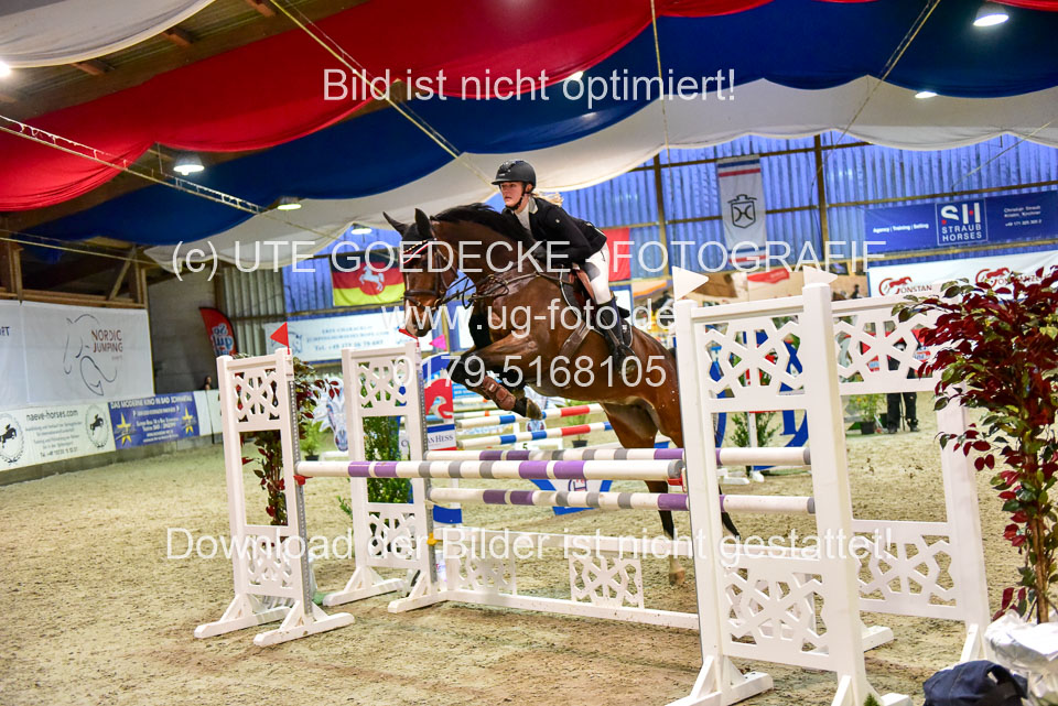 17112020-Springpferde-L-129.jpg