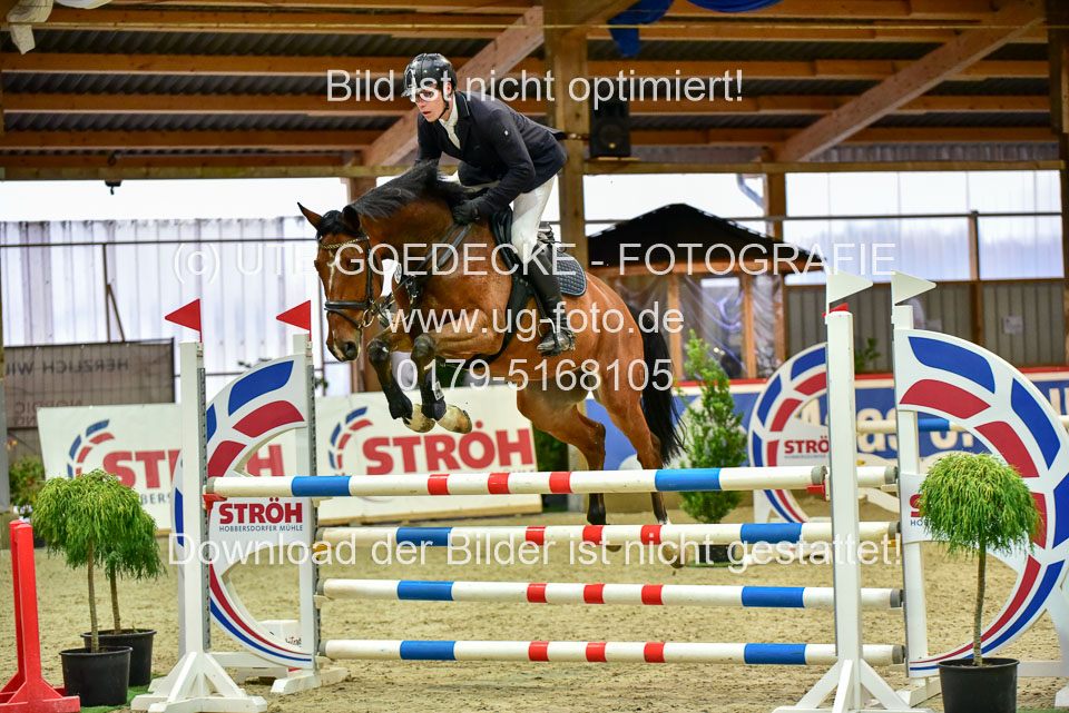 17112020-Springpferde-L-13.jpg