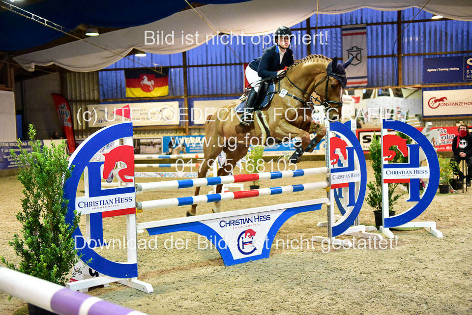 17112020-Springpferde-L-133.jpg