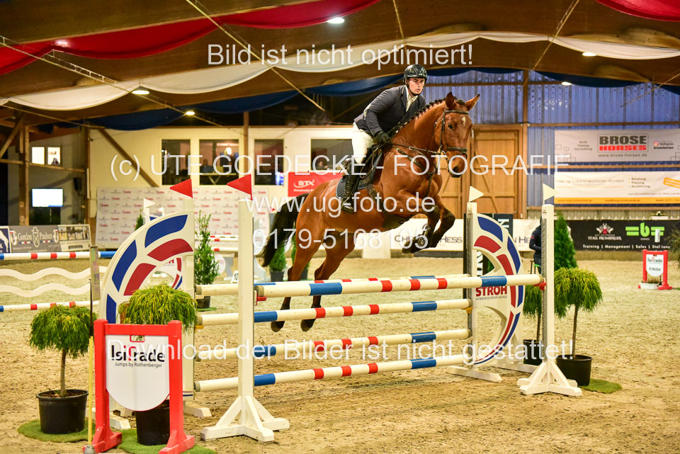 17112020-Springpferde-L-137.jpg