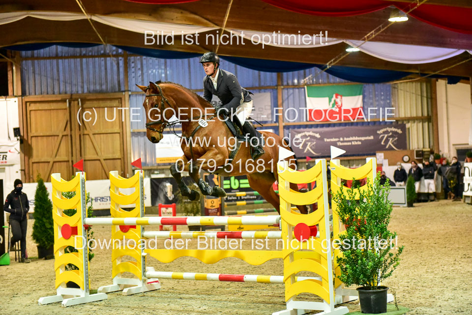 17112020-Springpferde-L-138.jpg