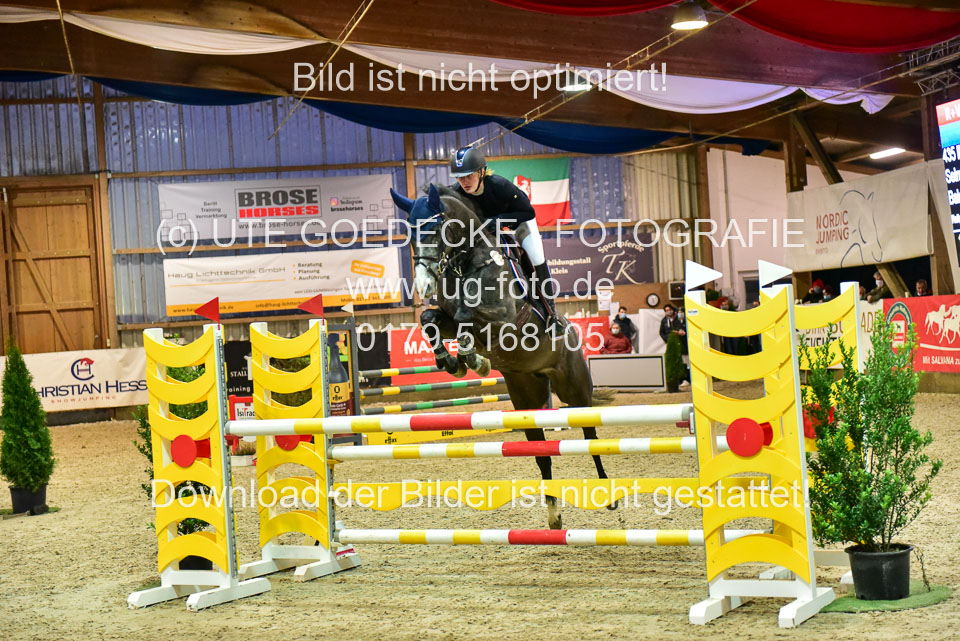 17112020-Springpferde-L-143.jpg