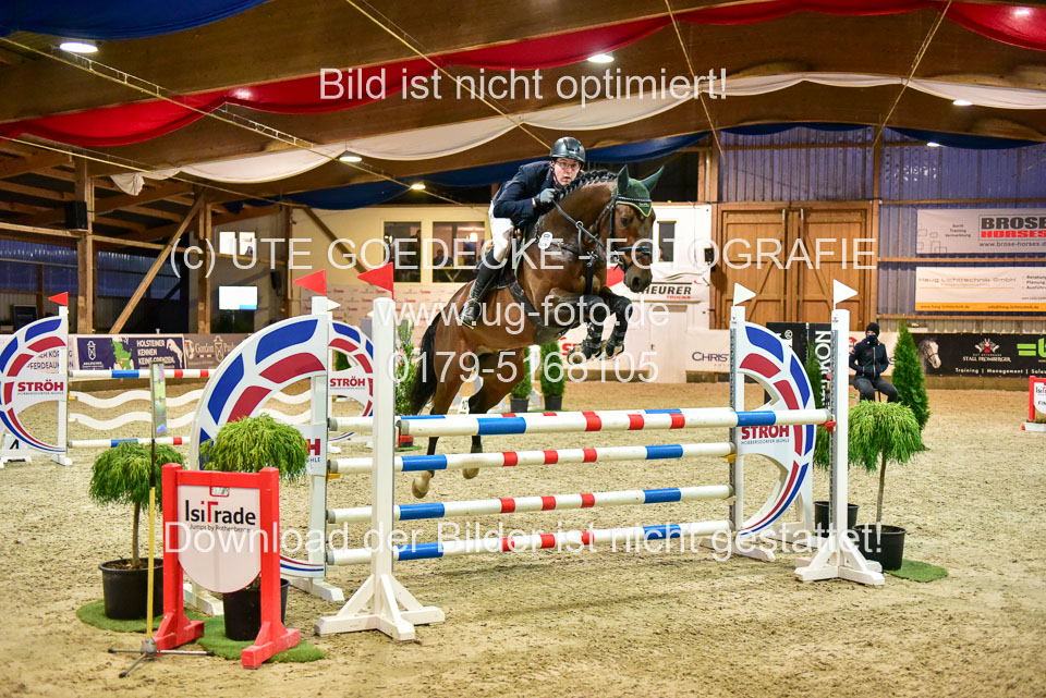 17112020-Springpferde-L-145.jpg