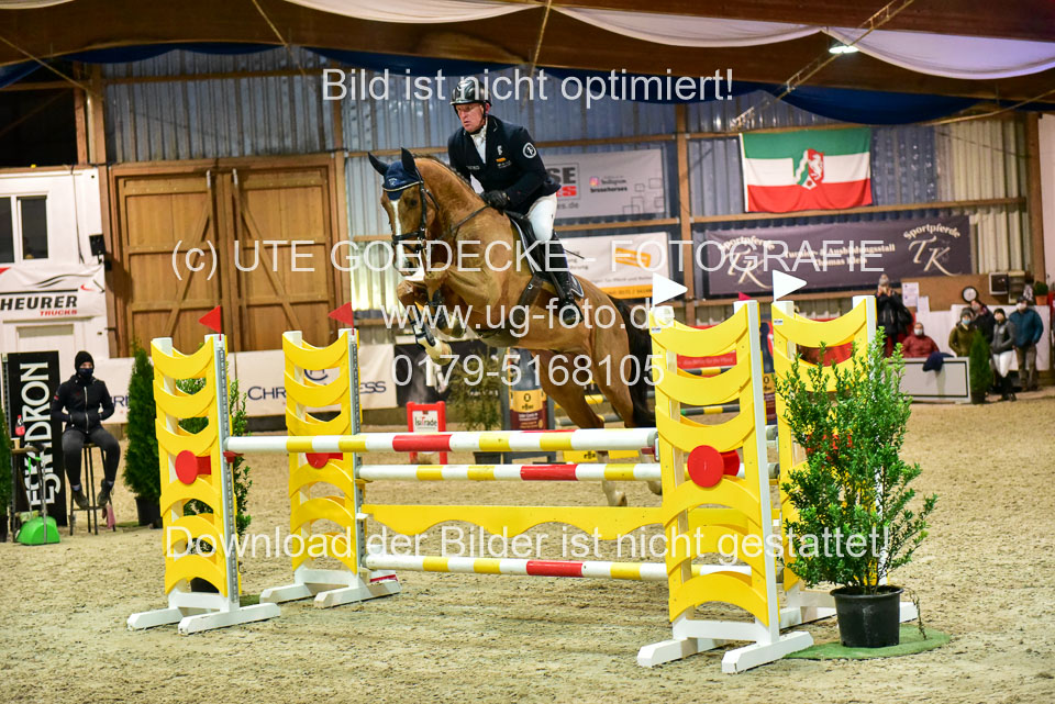 17112020-Springpferde-L-149.jpg