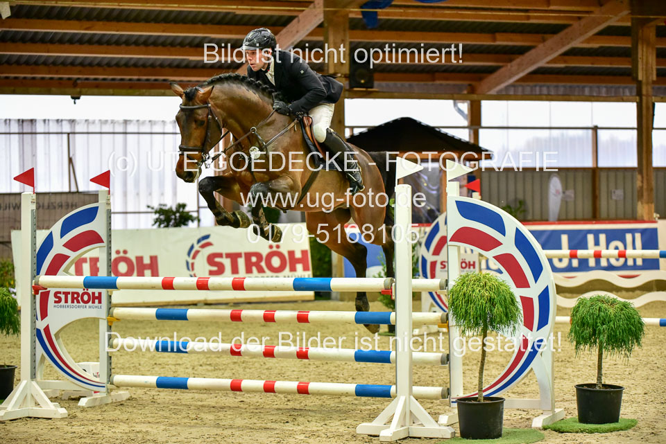 17112020-Springpferde-L-15.jpg