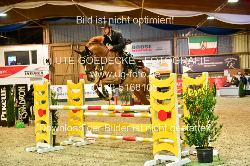 17112020-Springpferde-L-153.jpg