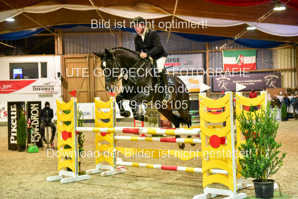 17112020-Springpferde-L-156.jpg