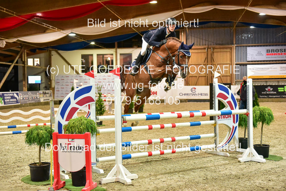 17112020-Springpferde-L-158.jpg