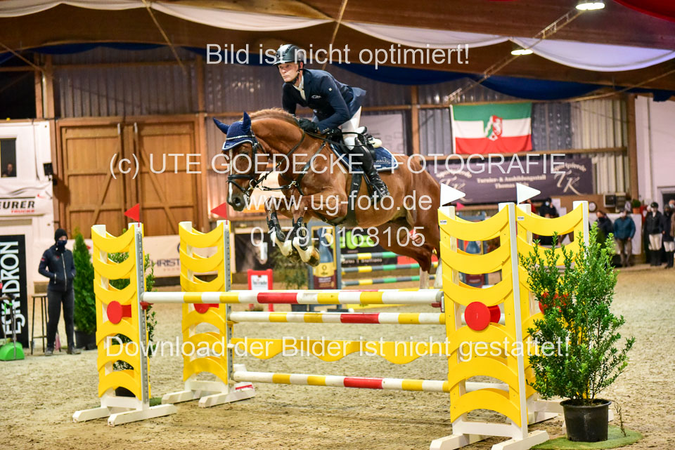 17112020-Springpferde-L-159.jpg
