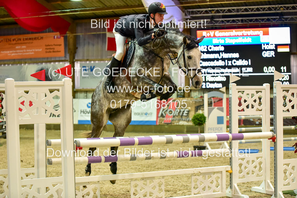 17112020-Springpferde-L-16.jpg