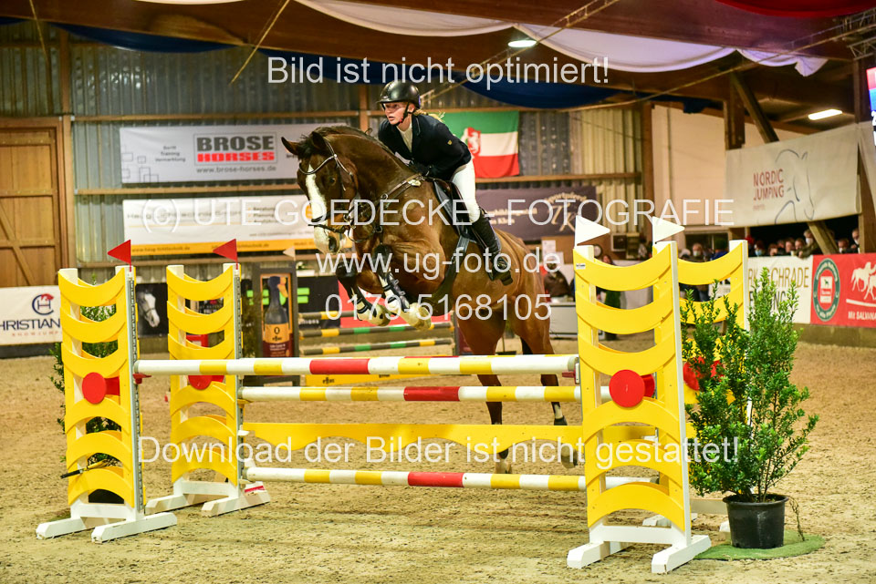 17112020-Springpferde-L-165.jpg