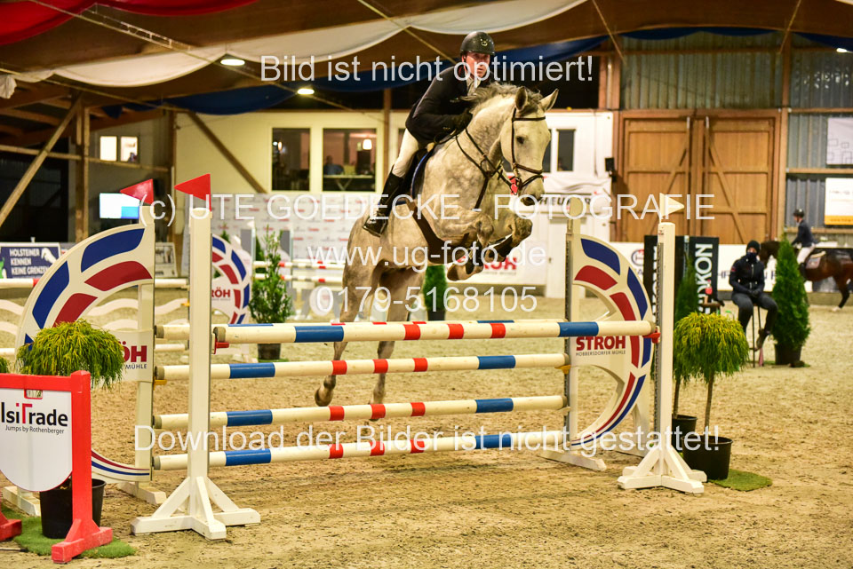 17112020-Springpferde-L-167.jpg