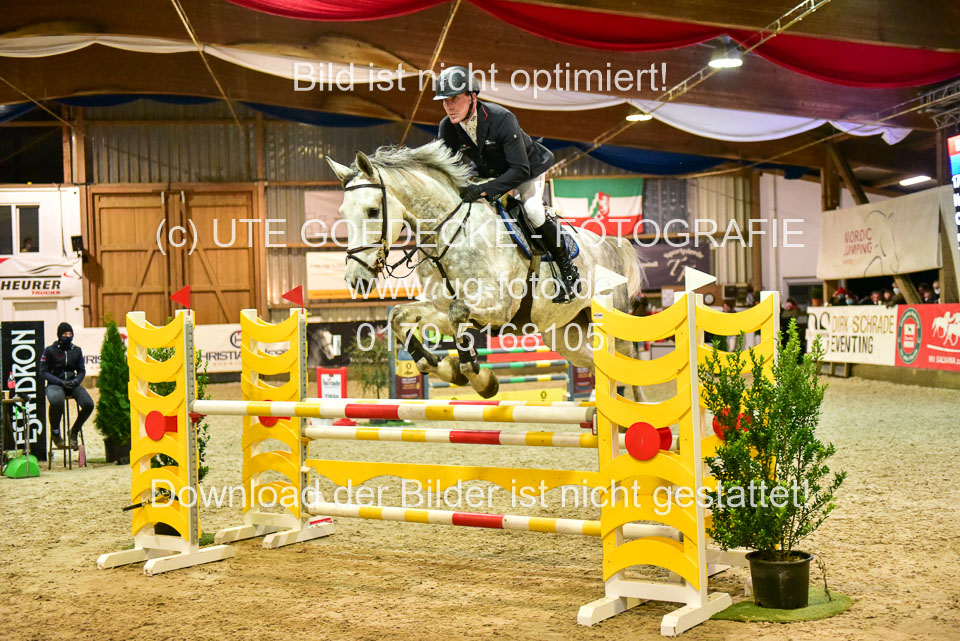 17112020-Springpferde-L-168.jpg