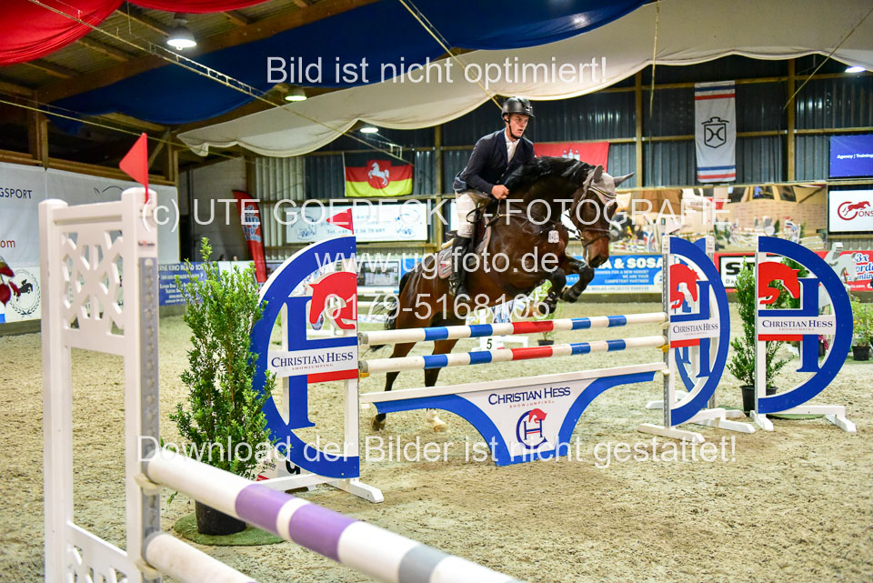 17112020-Springpferde-L-169.jpg
