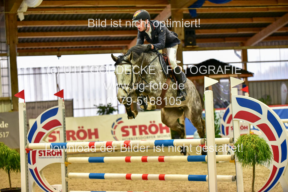 17112020-Springpferde-L-17.jpg