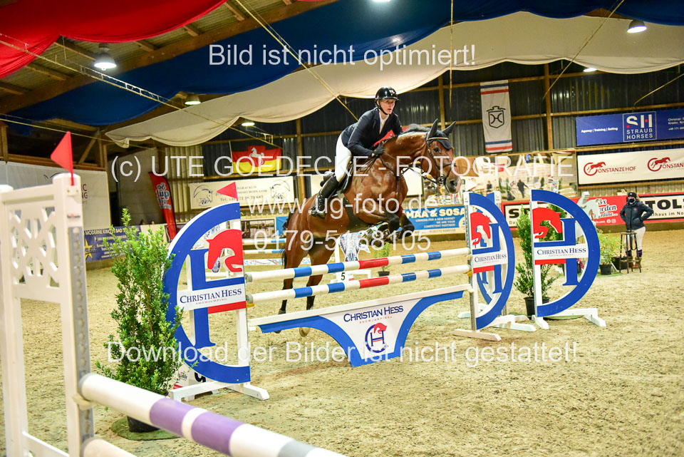 17112020-Springpferde-L-174.jpg