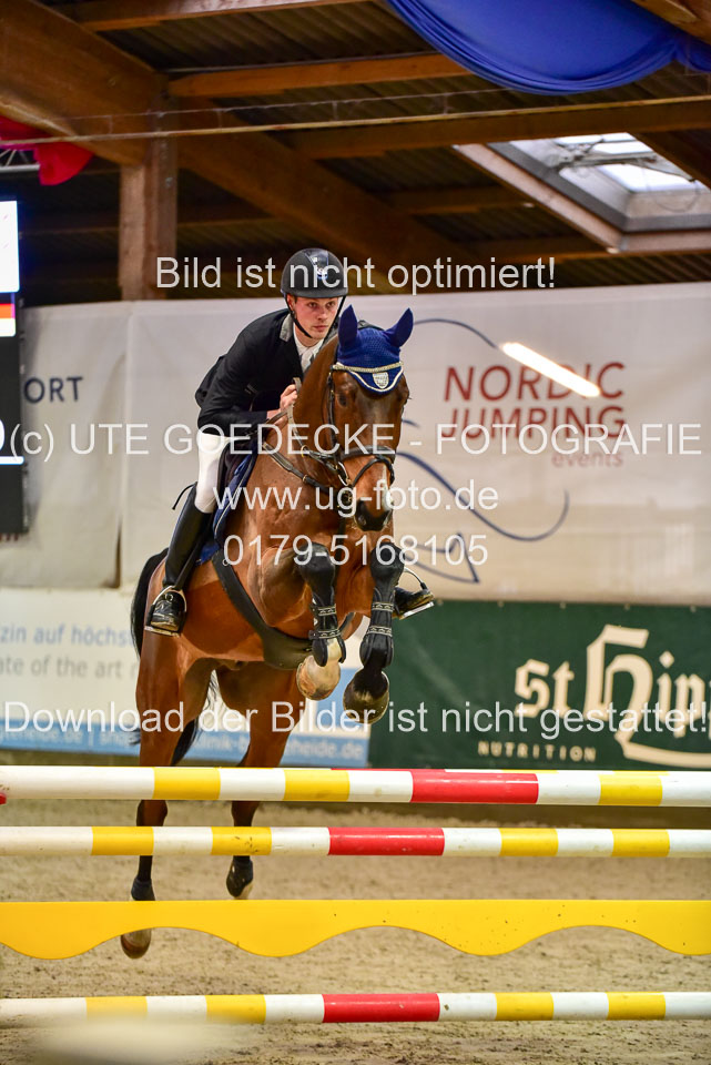 17112020-Springpferde-L-2.jpg