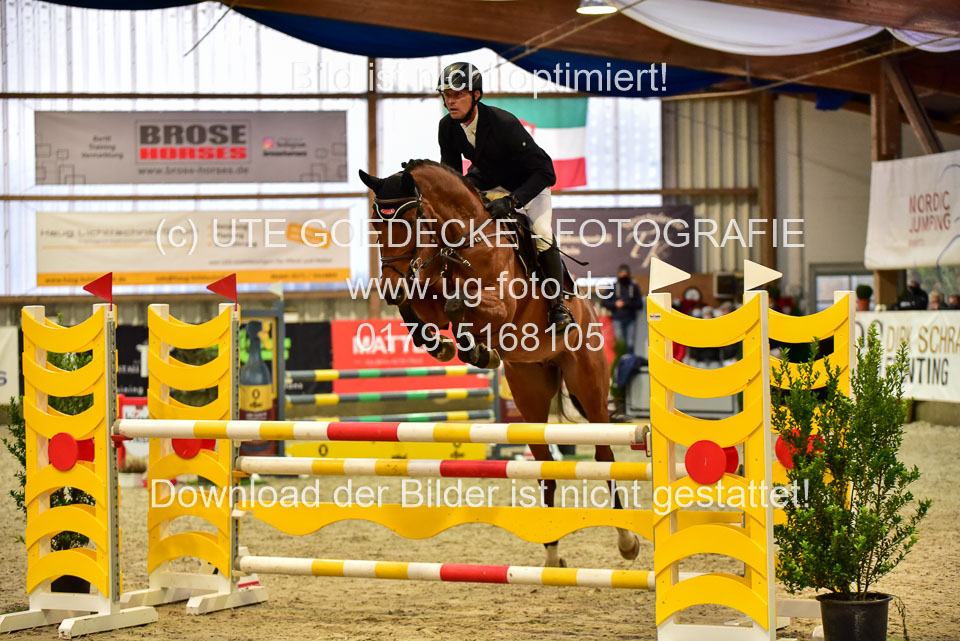 17112020-Springpferde-L-21.jpg