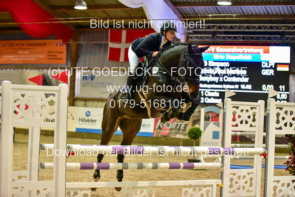 17112020-Springpferde-L-23.jpg