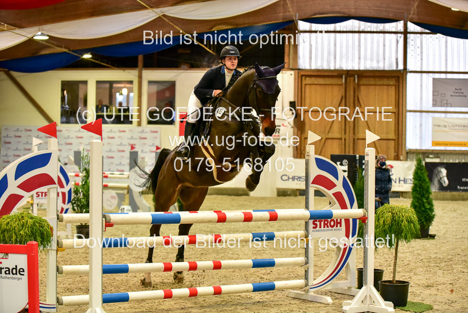 17112020-Springpferde-L-24.jpg