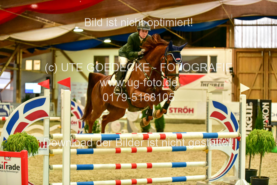 17112020-Springpferde-L-26.jpg