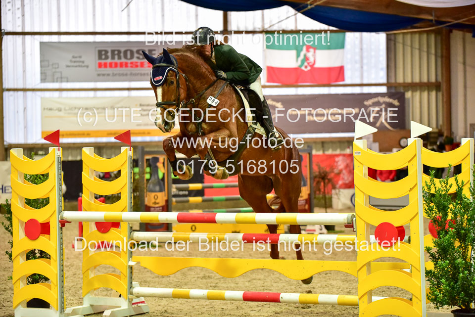 17112020-Springpferde-L-27.jpg