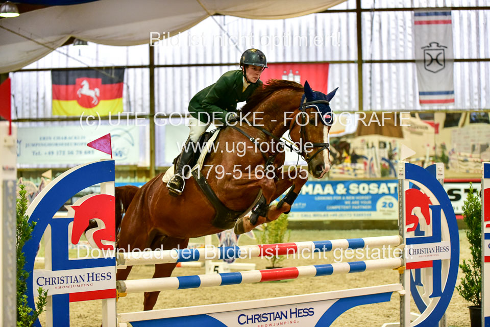 17112020-Springpferde-L-28.jpg