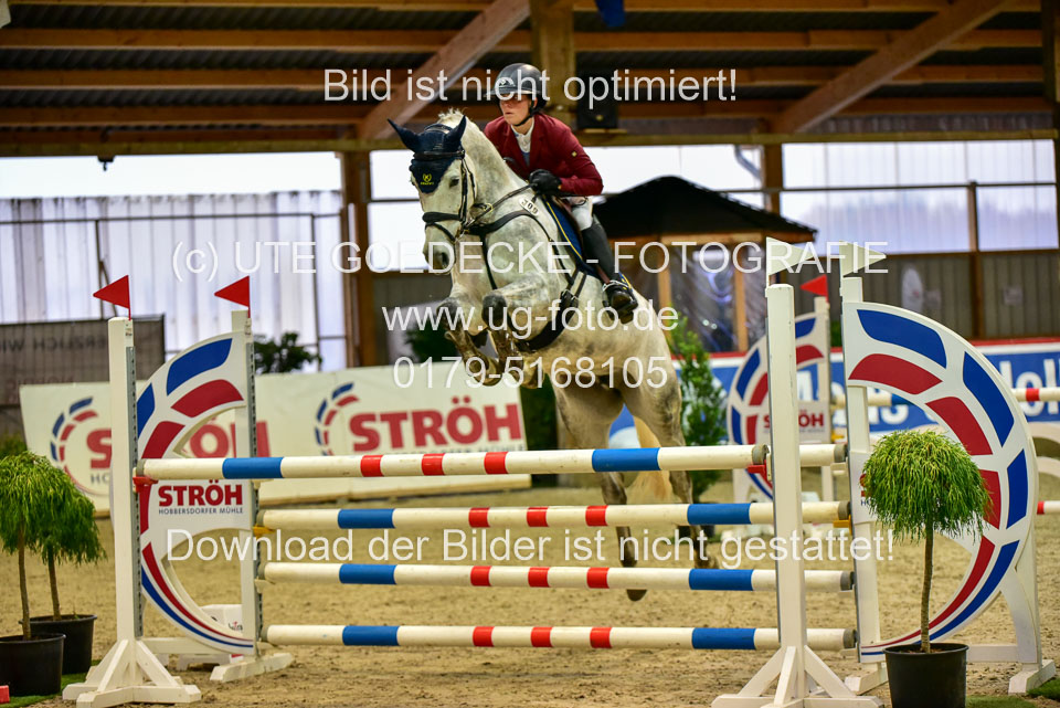 17112020-Springpferde-L-3.jpg