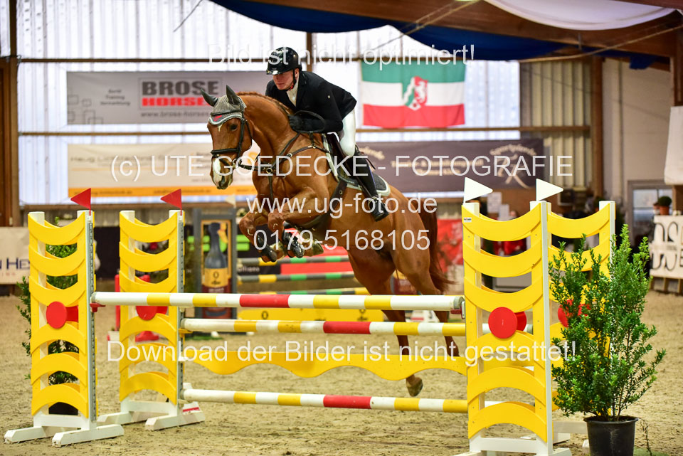 17112020-Springpferde-L-31.jpg