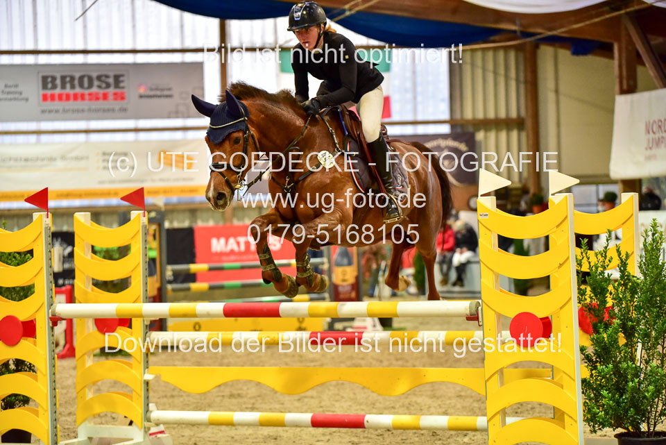 17112020-Springpferde-L-32.jpg