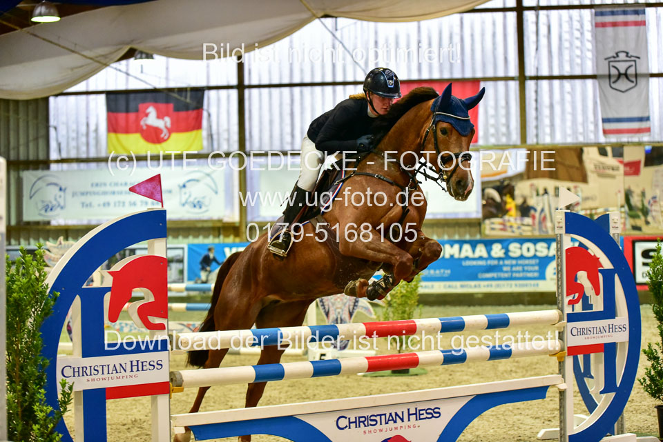 17112020-Springpferde-L-33.jpg
