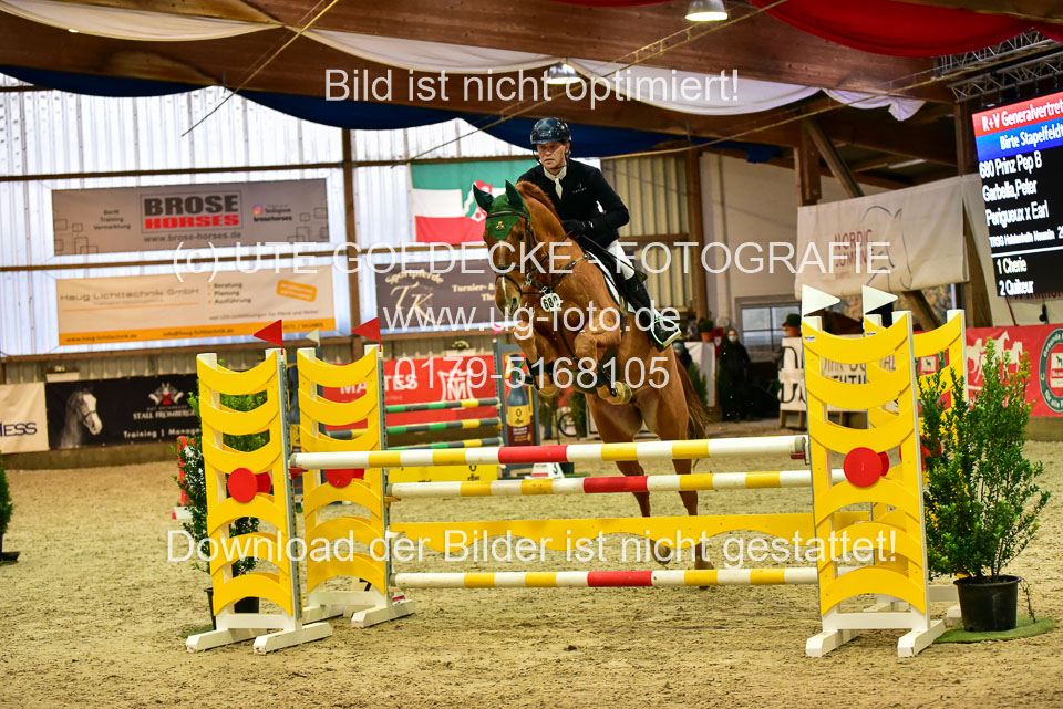 17112020-Springpferde-L-34.jpg