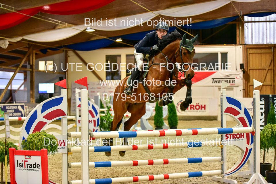 17112020-Springpferde-L-36.jpg