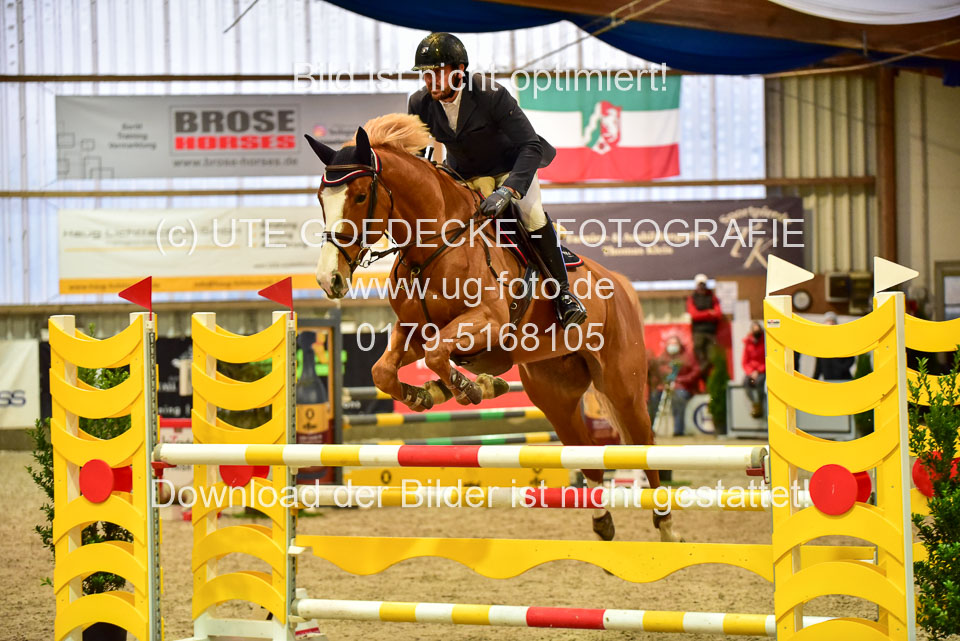 17112020-Springpferde-L-38.jpg