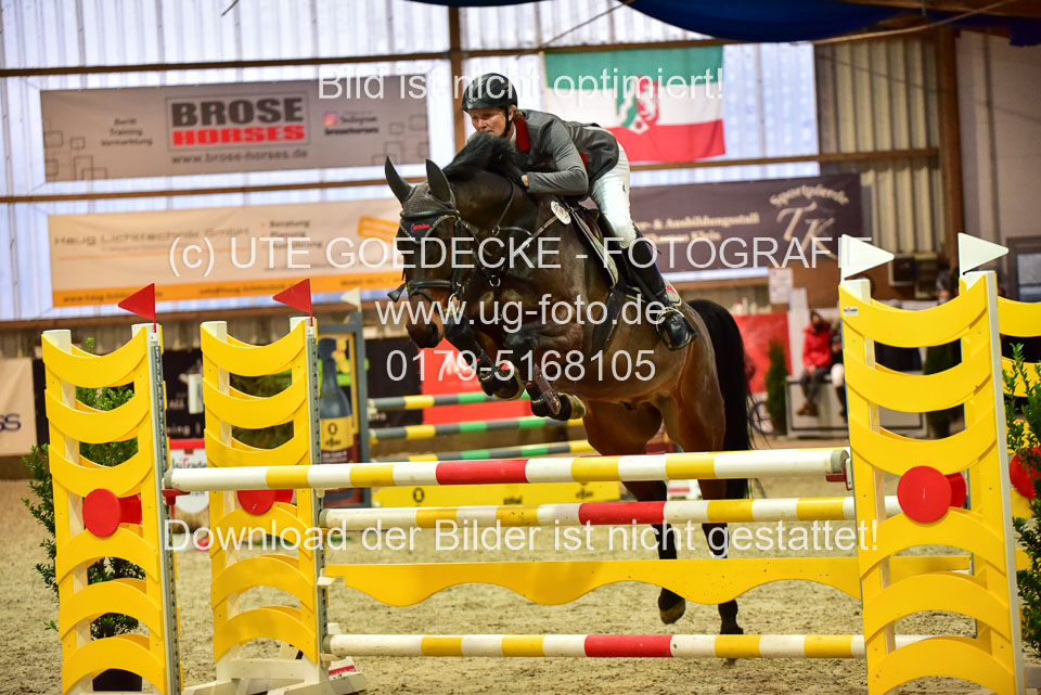 17112020-Springpferde-L-42.jpg
