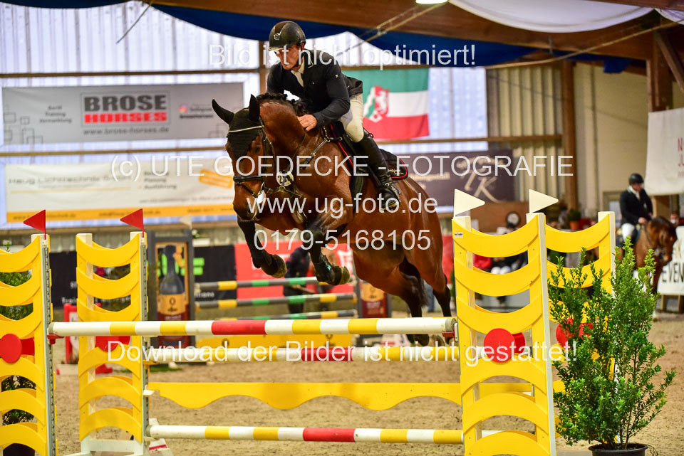17112020-Springpferde-L-43.jpg