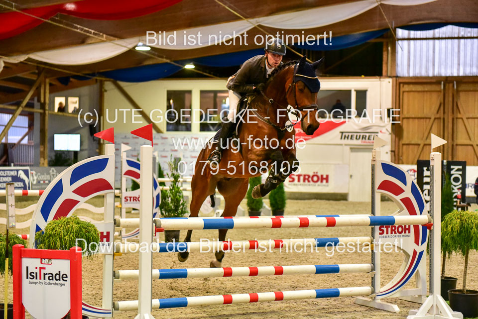 17112020-Springpferde-L-47.jpg