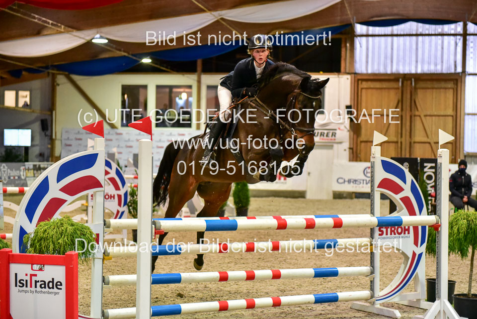 17112020-Springpferde-L-49.jpg