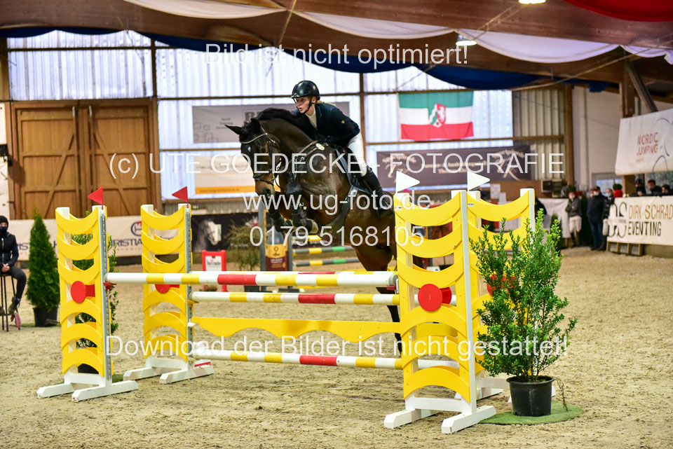 17112020-Springpferde-L-50.jpg
